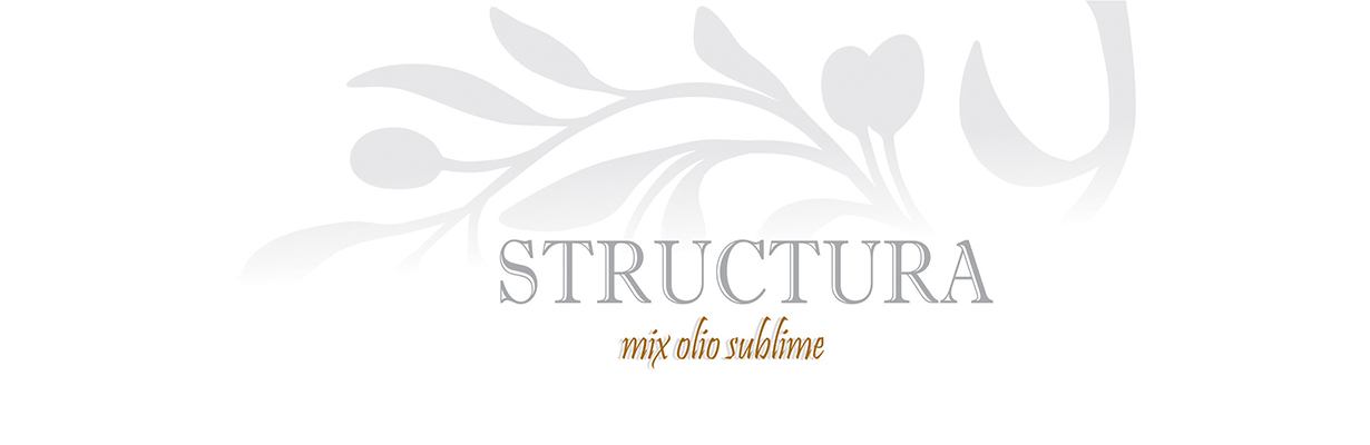 Slide_Structura